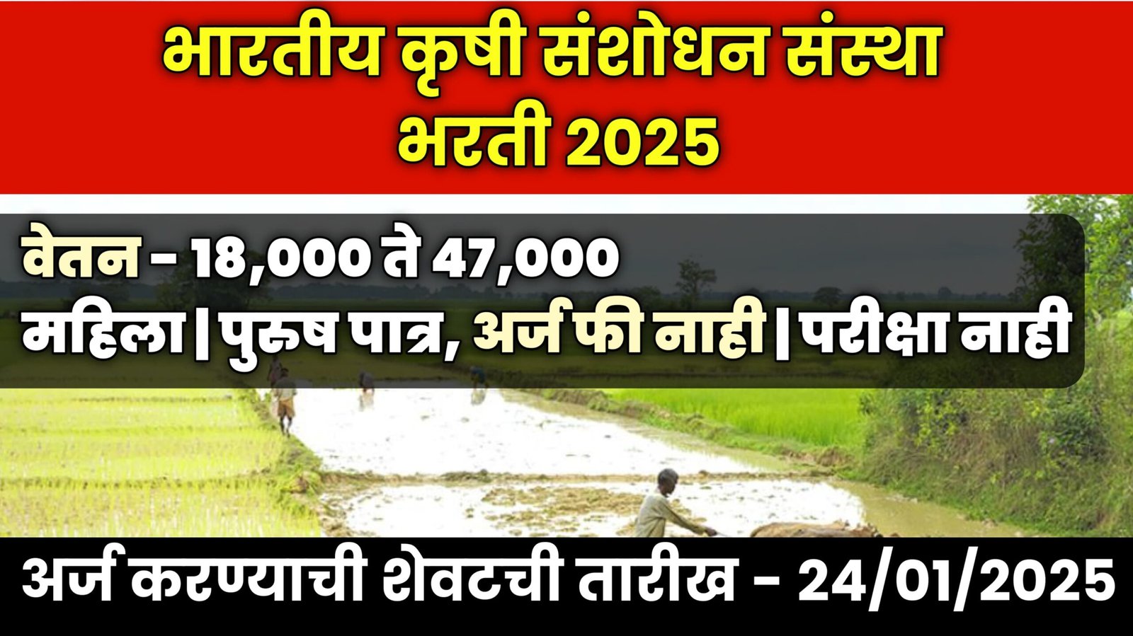 भारतीय कृषी संशोधन संस्था भरती 2025